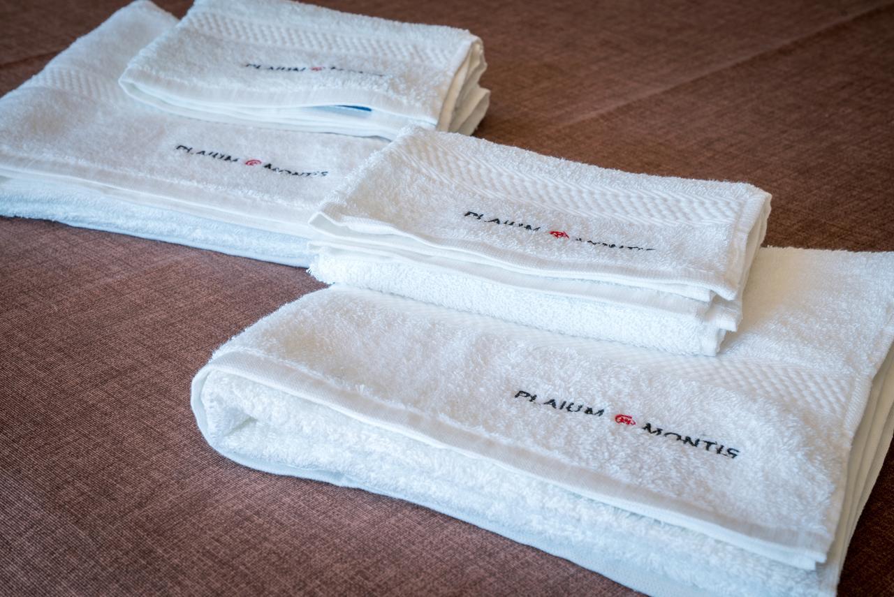 サレルノ Plaium Montis Bed & Breakfast エクステリア 写真