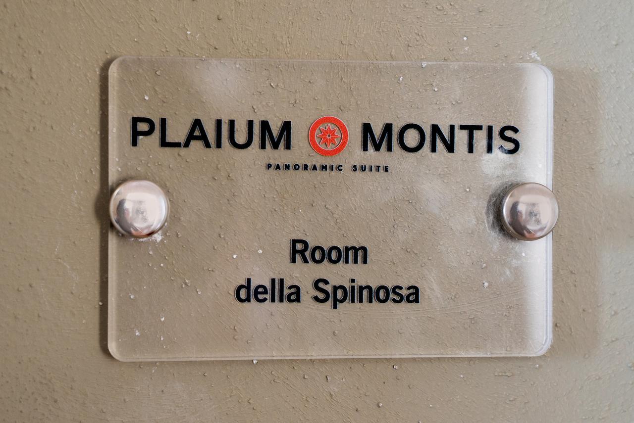 サレルノ Plaium Montis Bed & Breakfast エクステリア 写真